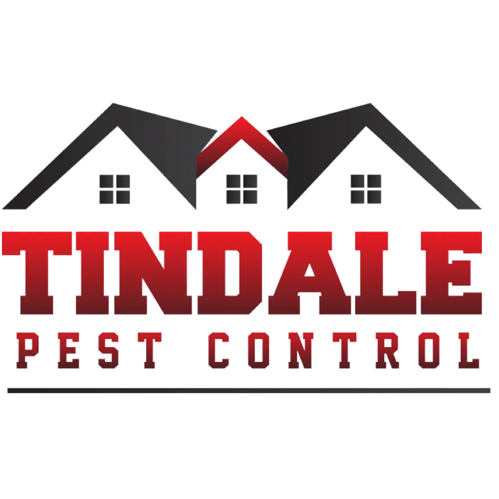 Tindale Pest Control Ocala